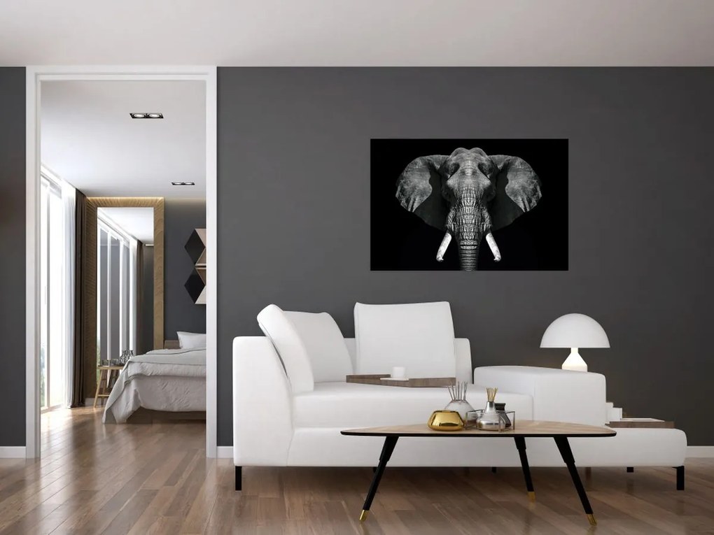 Tablou - Elefant pe fundal negru (90x60 cm)