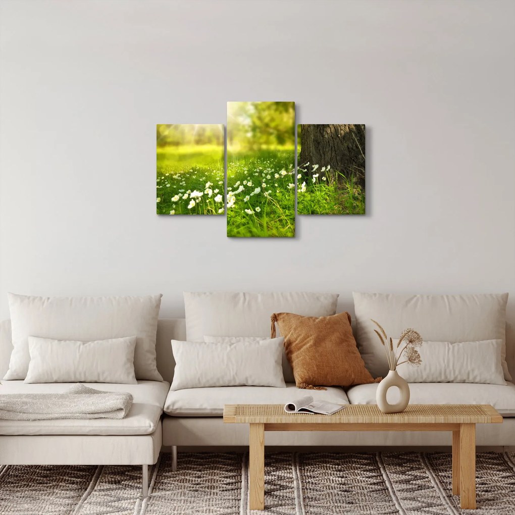 Tablou cu poiana și flori (90x60 cm)