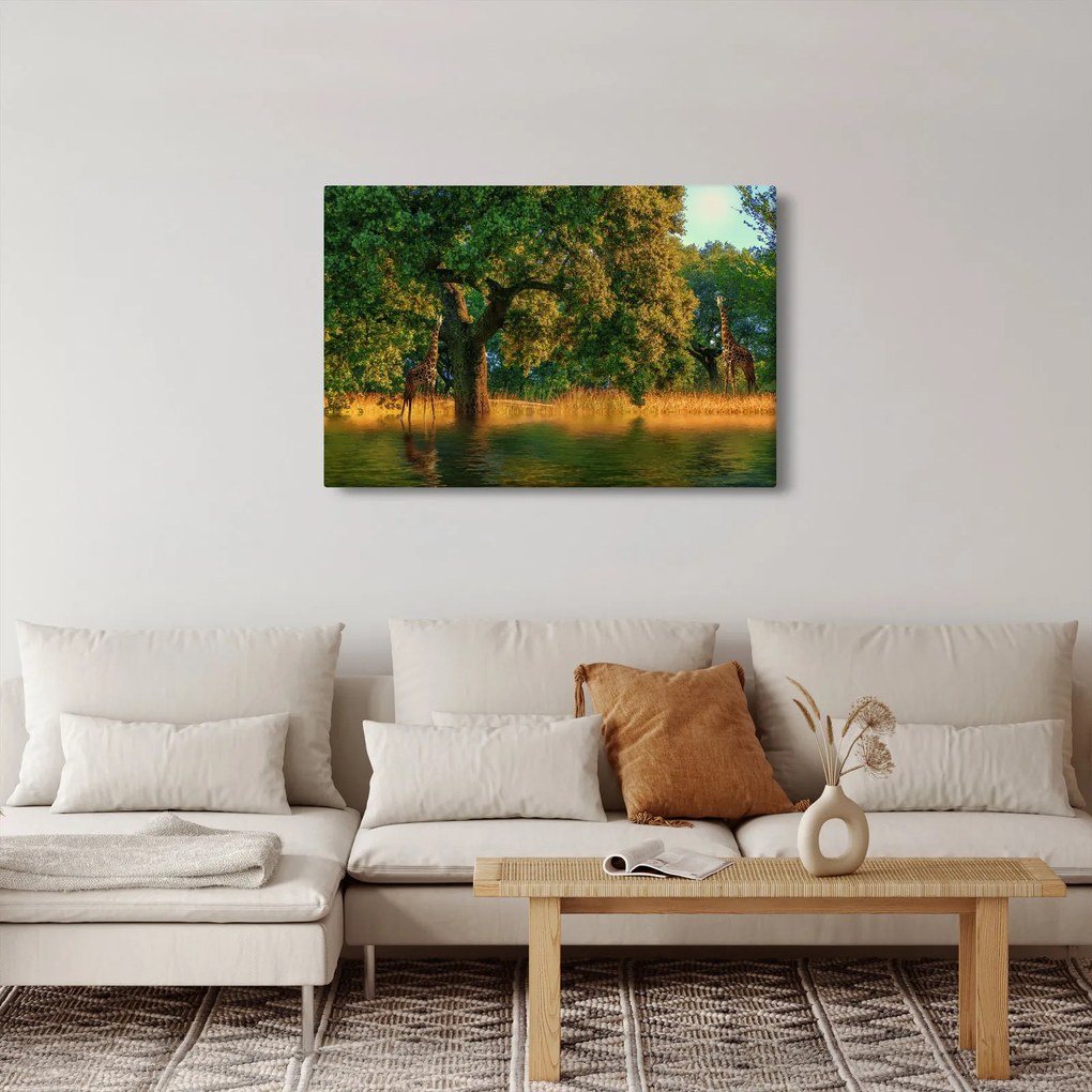 Tablou cu girafe în natură (90x60 cm)