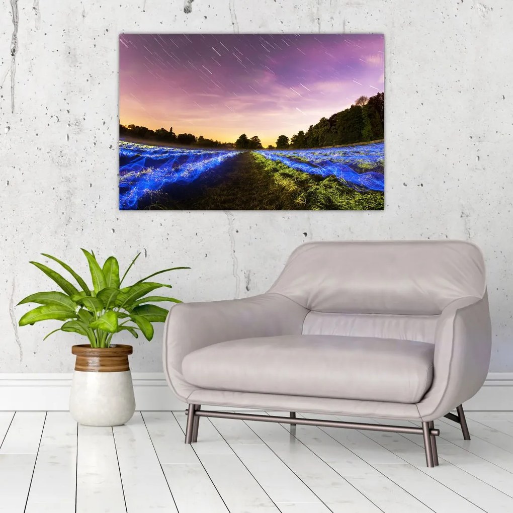 Tablou cu câmp colorat (90x60 cm)