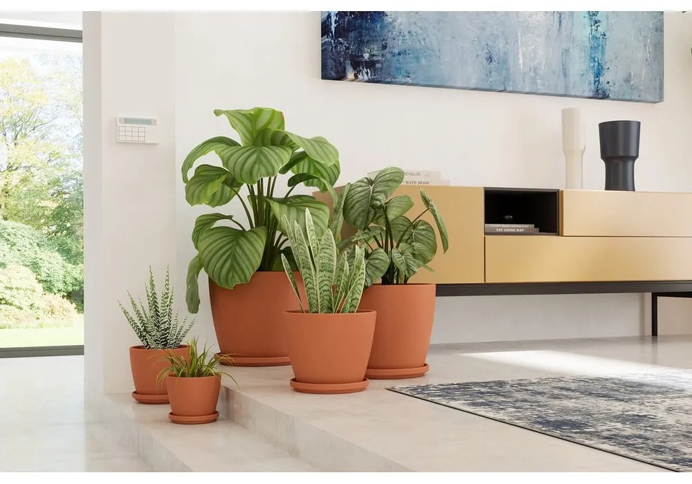 Farfurie pentru ghiveci din teracotă ø 27 cm – Artevasi