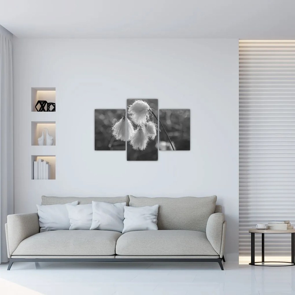 Tablou - Iarba de bumbac (90x60 cm)