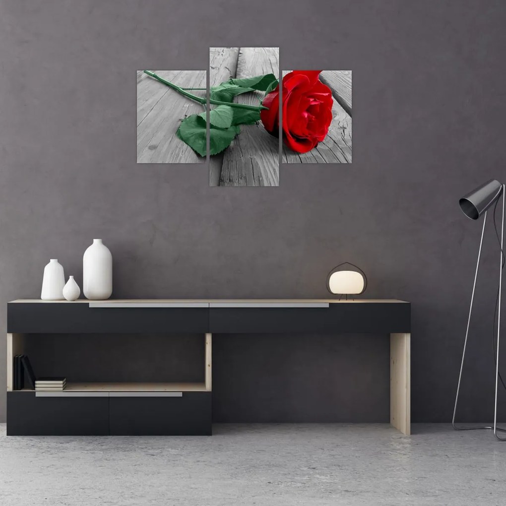 Tablou - Trandafir roșu cu tulpină verde (90x60 cm)