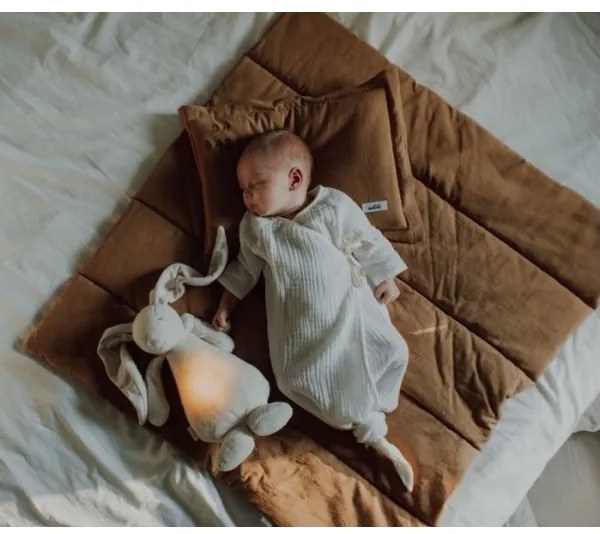 Moonie - Iepuraș somnoros cu melodie și lumină, argintiu