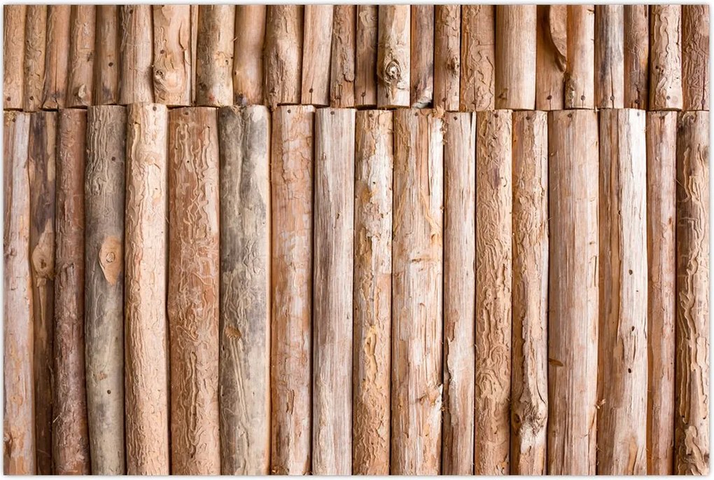 Tablou - Bambus (90x60 cm)