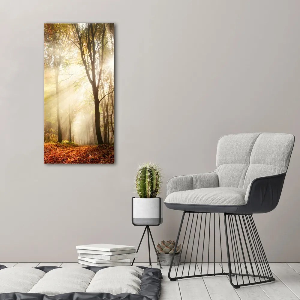 Tablou pe pânză canvas Pădure în toamna