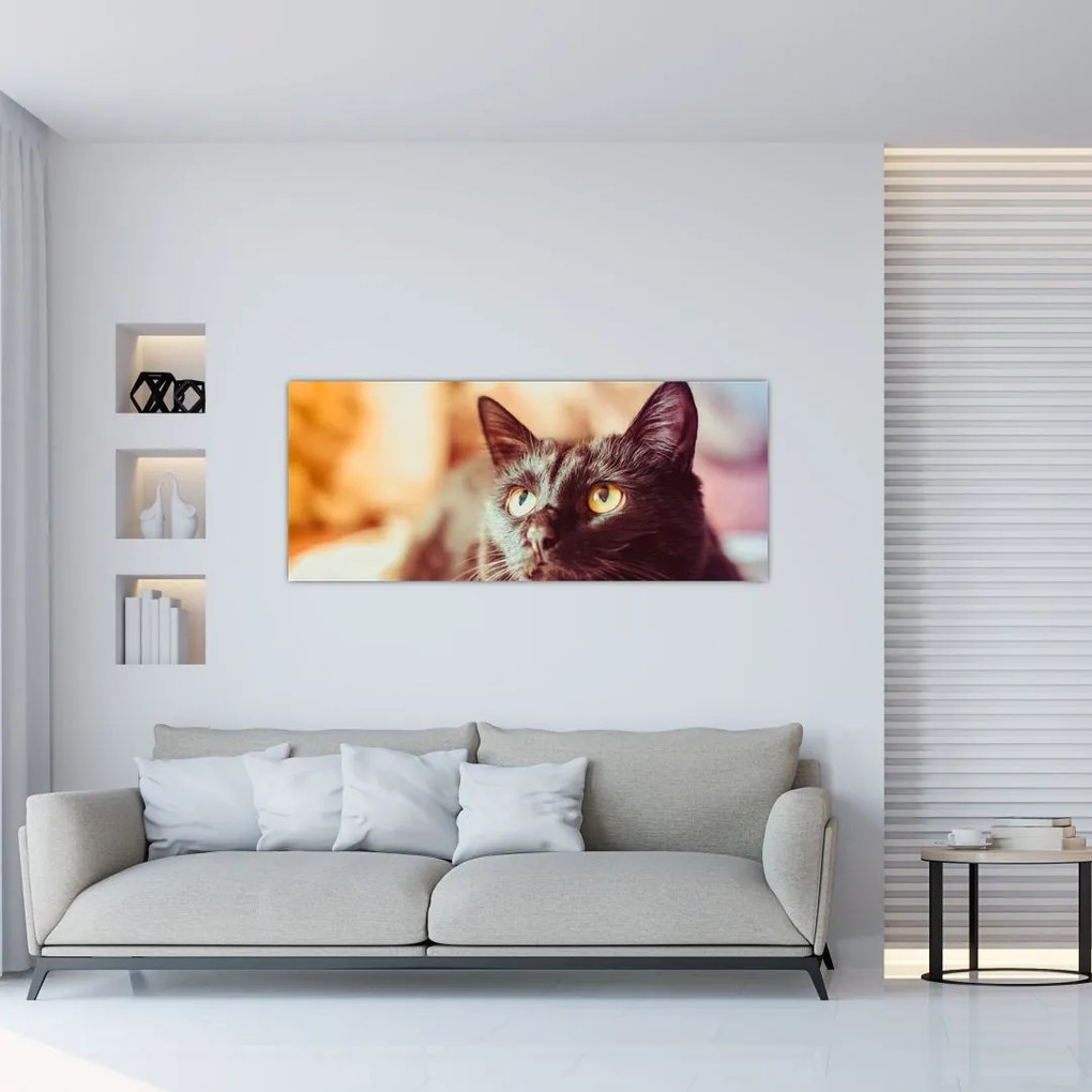 Tablou pisica neagră (120x50 cm)