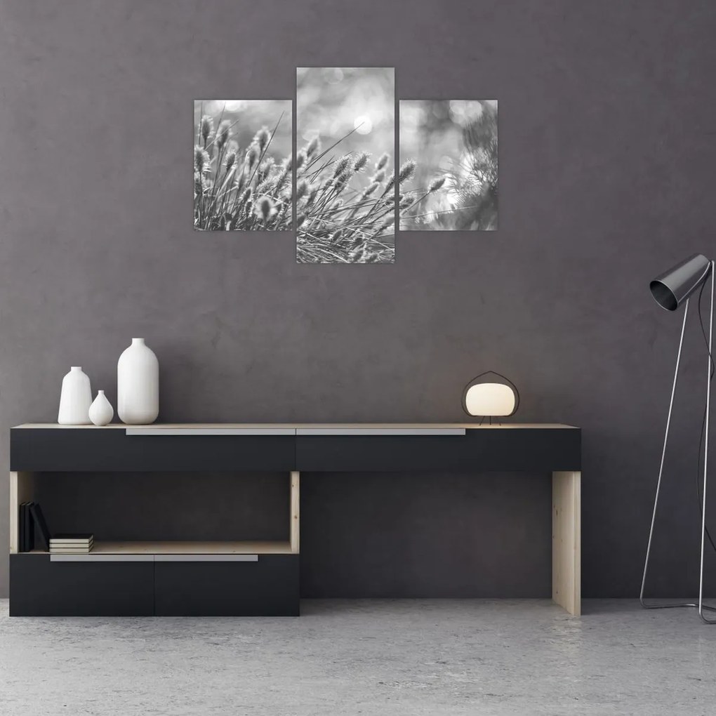 Tablou - Iarbă moale bej N⁰1 (90x60 cm)