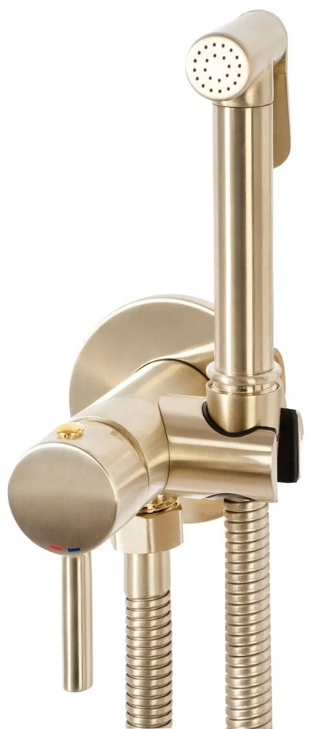 Baterie bideu Lungo Loop Gold Brush