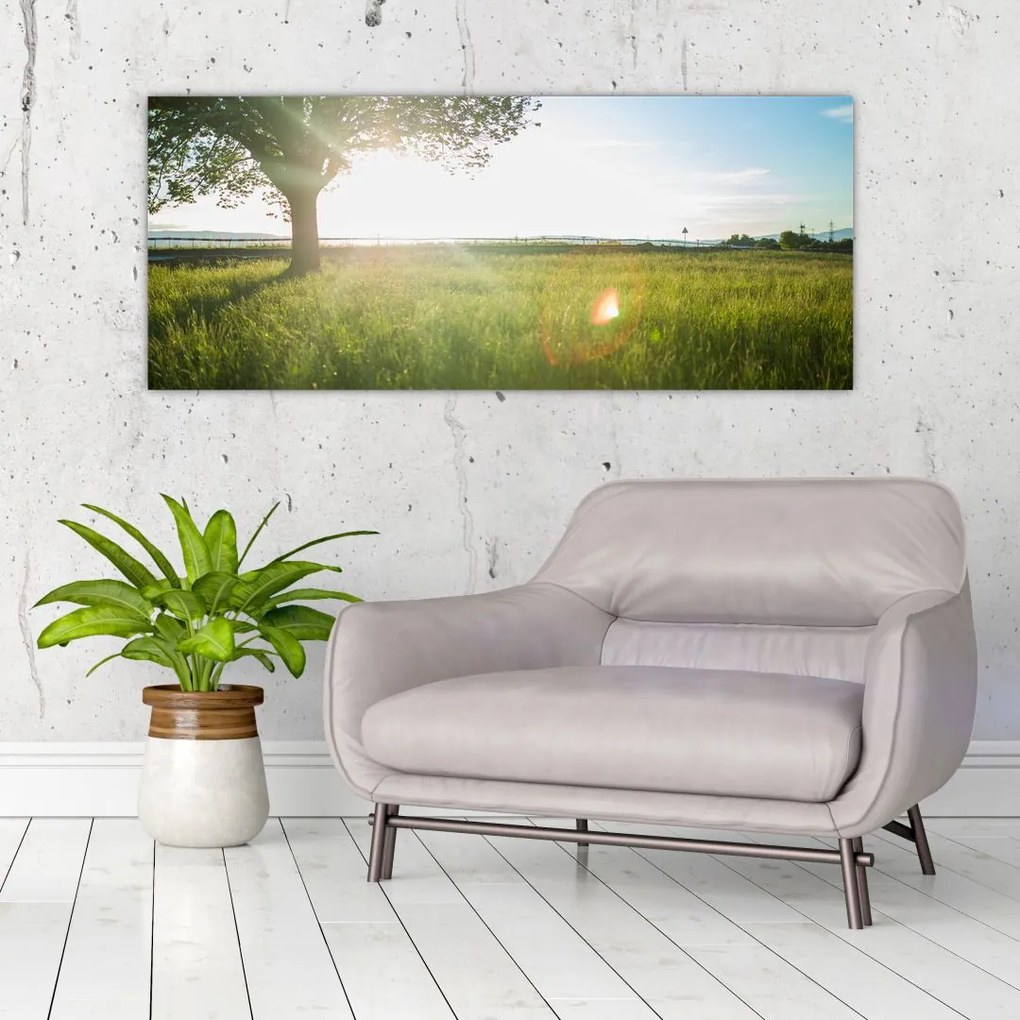 Tablou cu lunca în vară (120x50 cm)