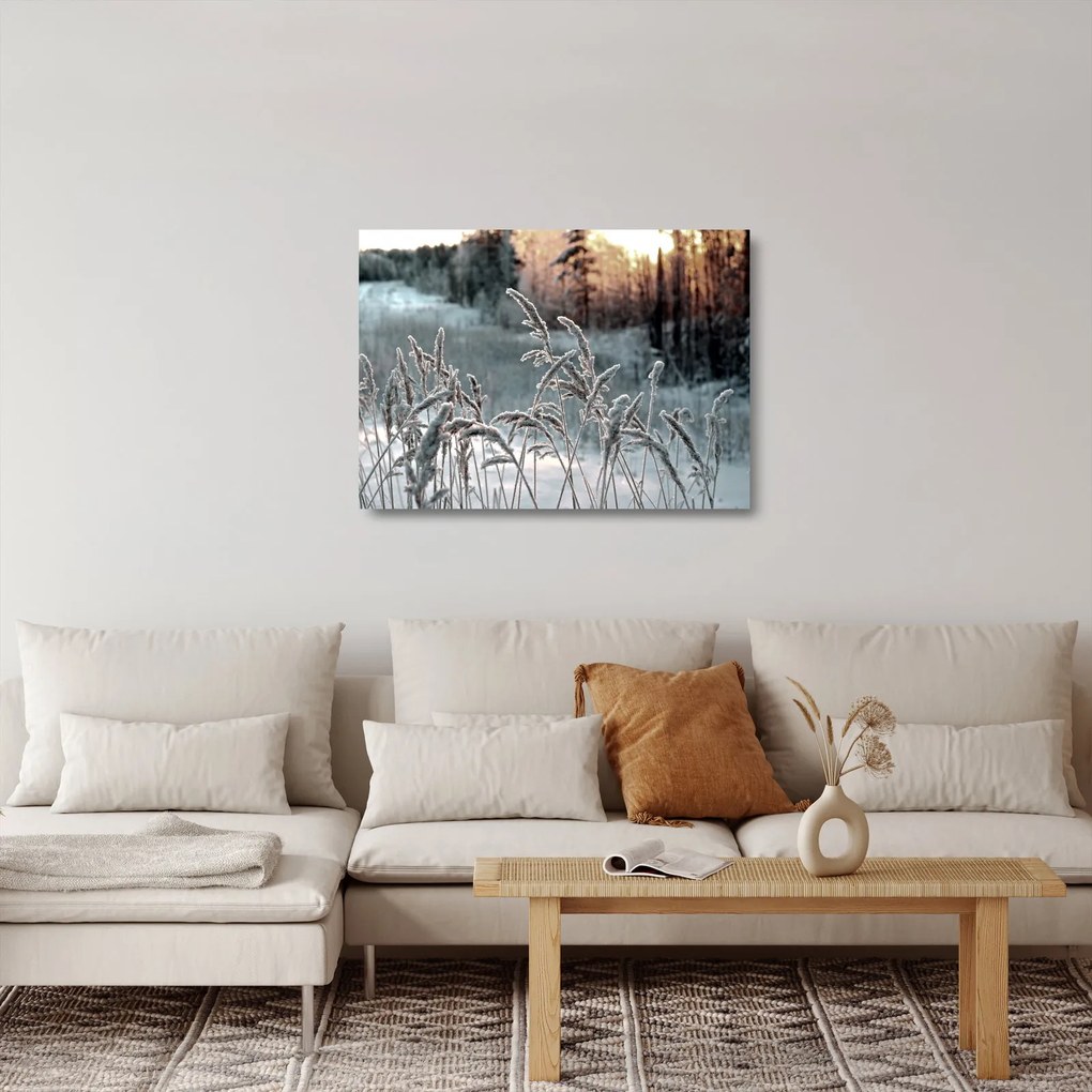 Tablou pe sticlă - Pajiște înghețată (70x50 cm)