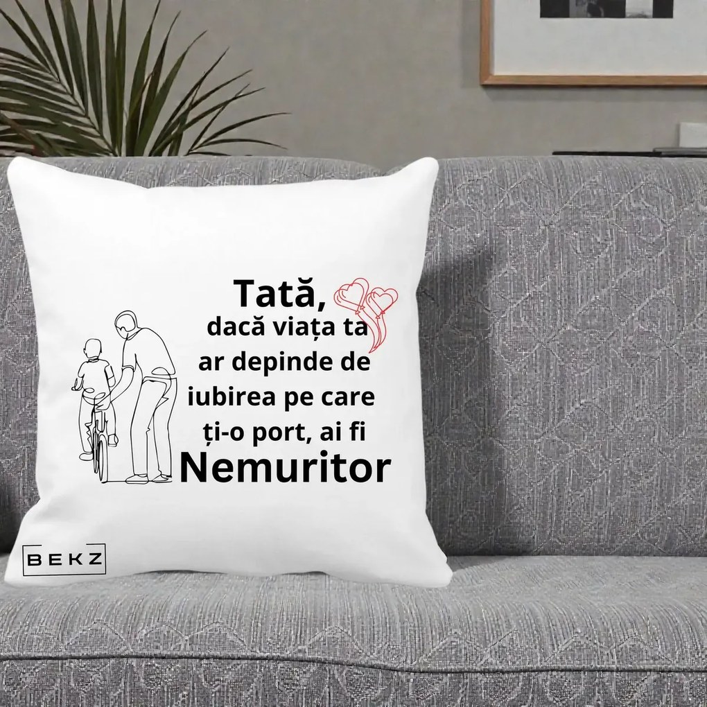 Cadou pentru Tata - Perna Personalizata Tata Nemuritor Bicicleta, 40x40 cm, Alba Mata, Husa Detasabila, Perna Inclusa, BEKZ®