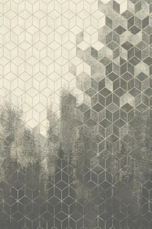 Covor lana Telmas popiel Selectează mărime: 240 X 340