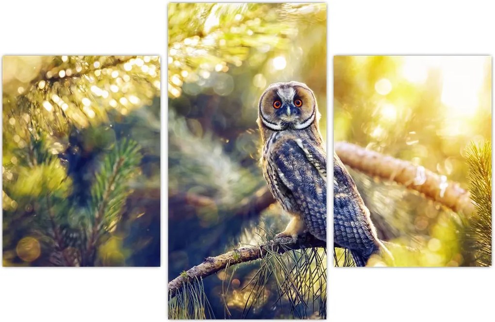 Tablou - Bufniță în copac (90x60 cm)