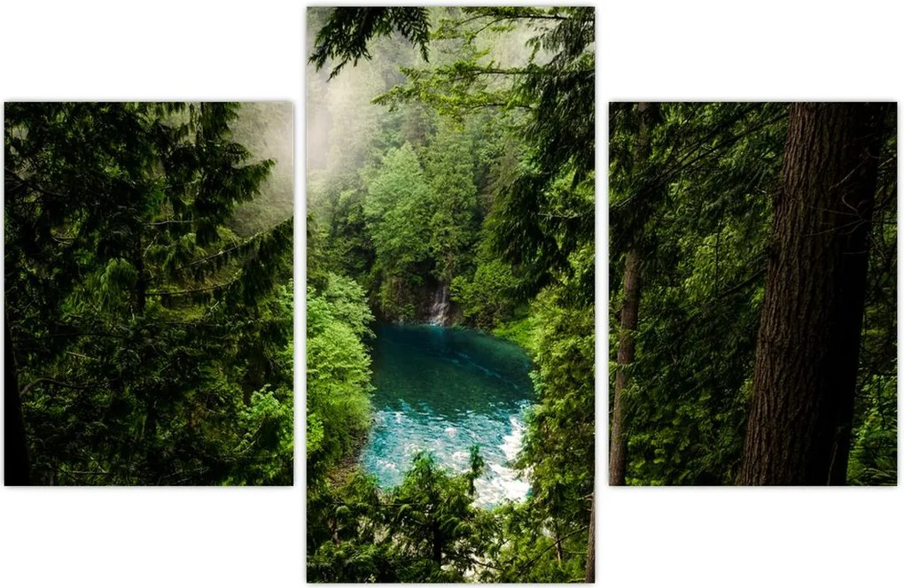 Tablou - Fereastra între copaci (90x60 cm)