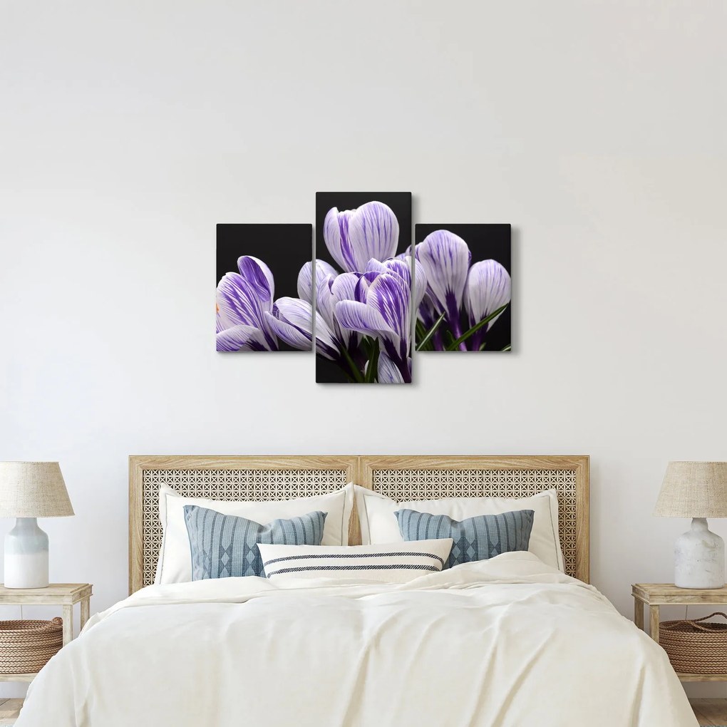 Tablou - Crocus violet (90x60 cm)