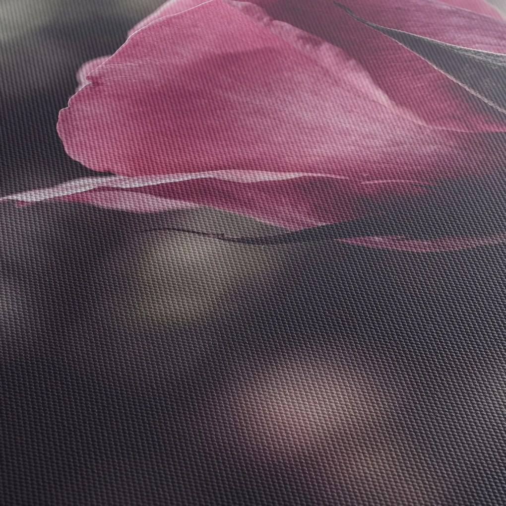Tablou - Detaliu florii de trandafir (cu ceas) (90x30 cm)