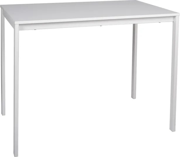 OFERTA Masa de dining alba RAMOD 100x60 cm gradul II de calitate