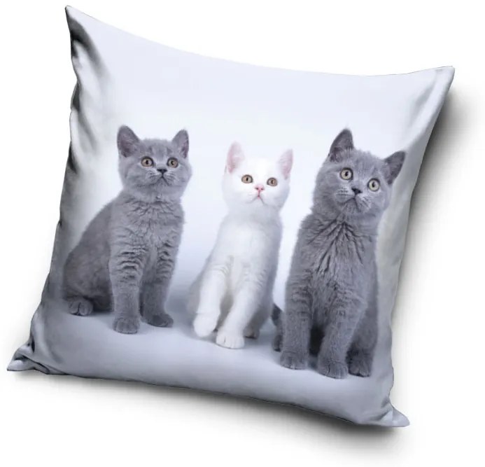 Pisică Trio husă decorativă pentru pernă 40x40 cm Catifea