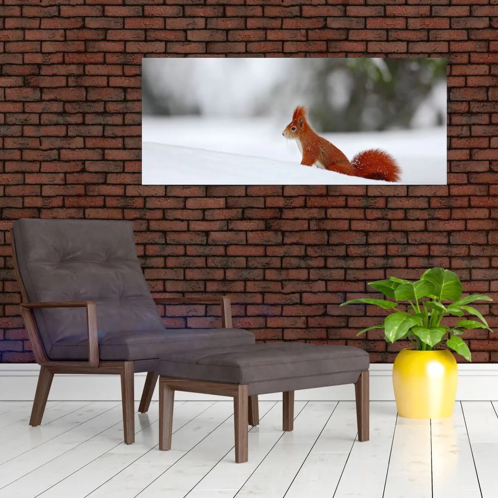 Tablou - Vevetițe (120x50 cm)