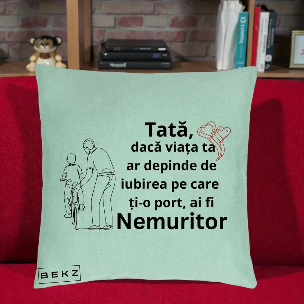 Cadou pentru Tata - Perna Personalizata Tata Nemuritor Bicicleta, 40x40 cm, Verde Menta, Husa Detasabila, Perna Inclusa, BEKZ®