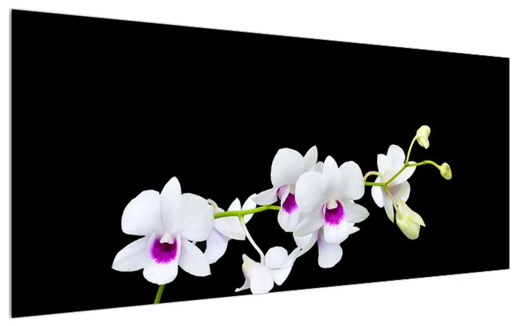 Tablou cu orhidee (120x50 cm), în 40 de alte dimensiuni noi