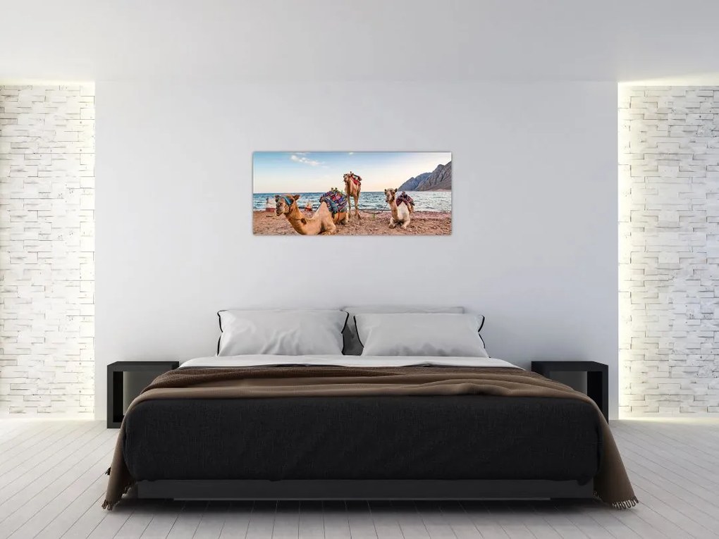 Tablou cu cămile (120x50 cm)