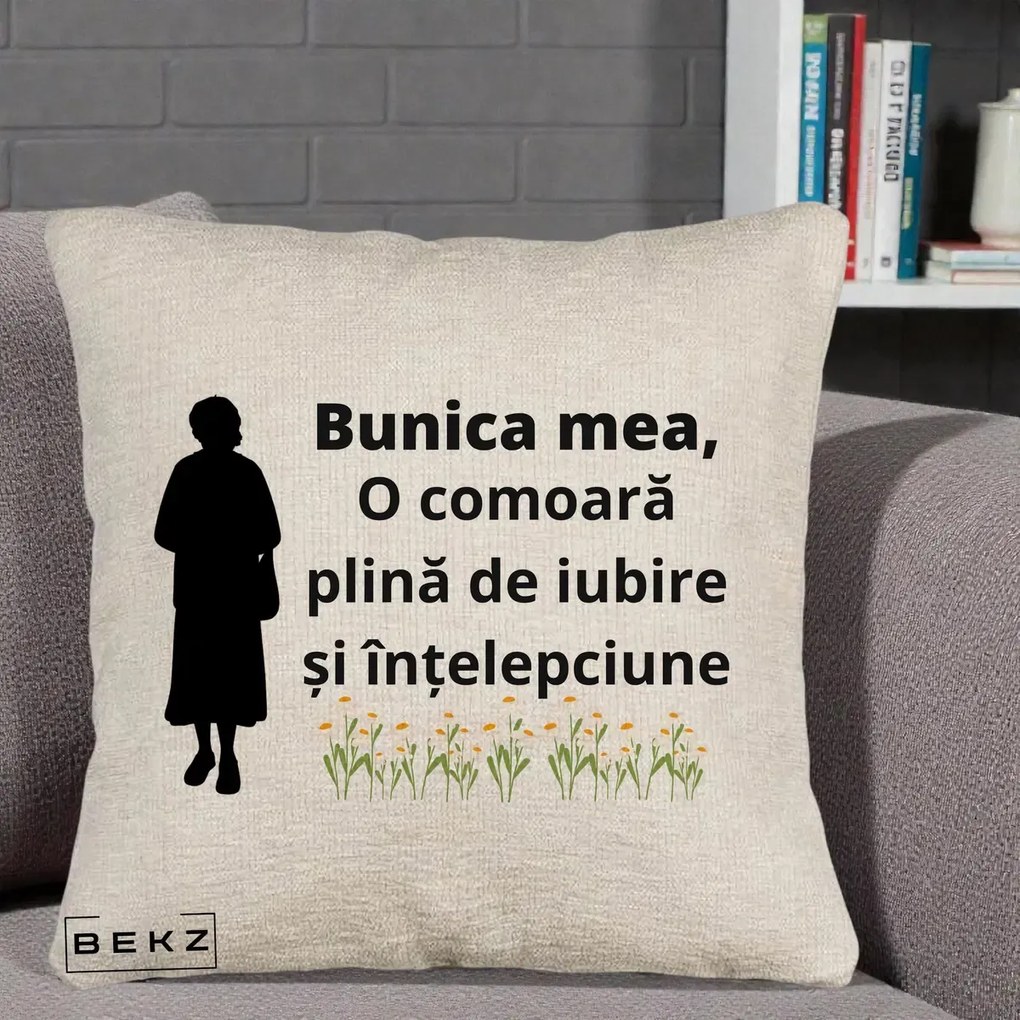 Cadou pentru Bunica - Perna Personalizata Bunica Mea Comoara Iubire Intelepciune Silueta cu Nepoata, 40x40 cm, Bej Canapea, Husa Detasabila, Perna Inclusa, BEKZ®