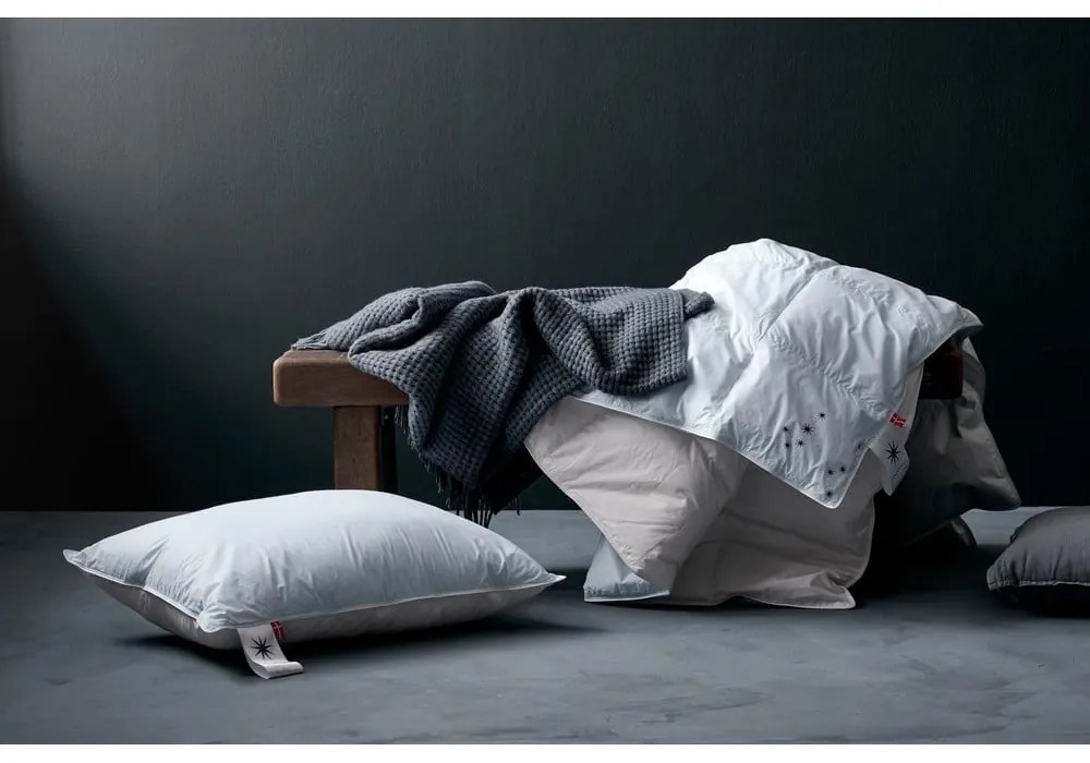 Pernă cu umplutură de pene 40x80 cm Neptune High – Universe of Sleeping