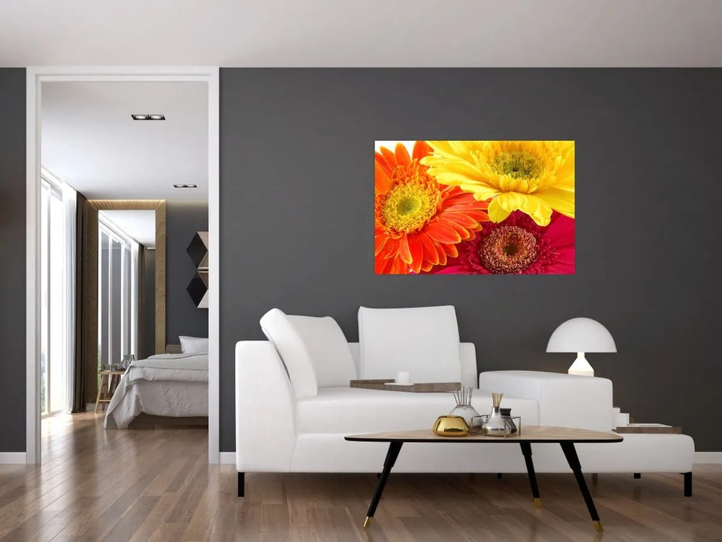 Tablou - Flori Gerbery (90x60 cm)