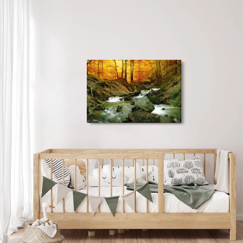 Tablou - Pădure (90x60 cm)