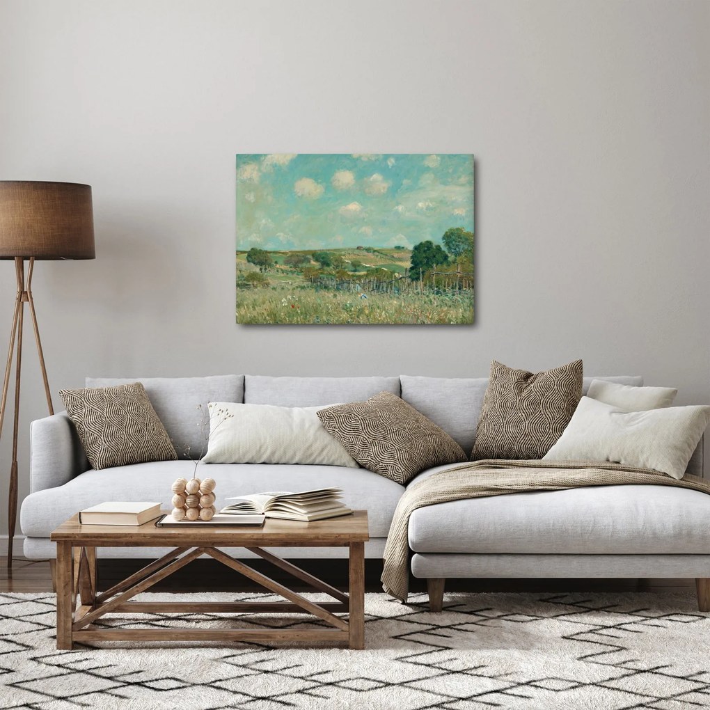 Tablou - Alfred Sisley, Meadow, reproducere (70x50 cm)