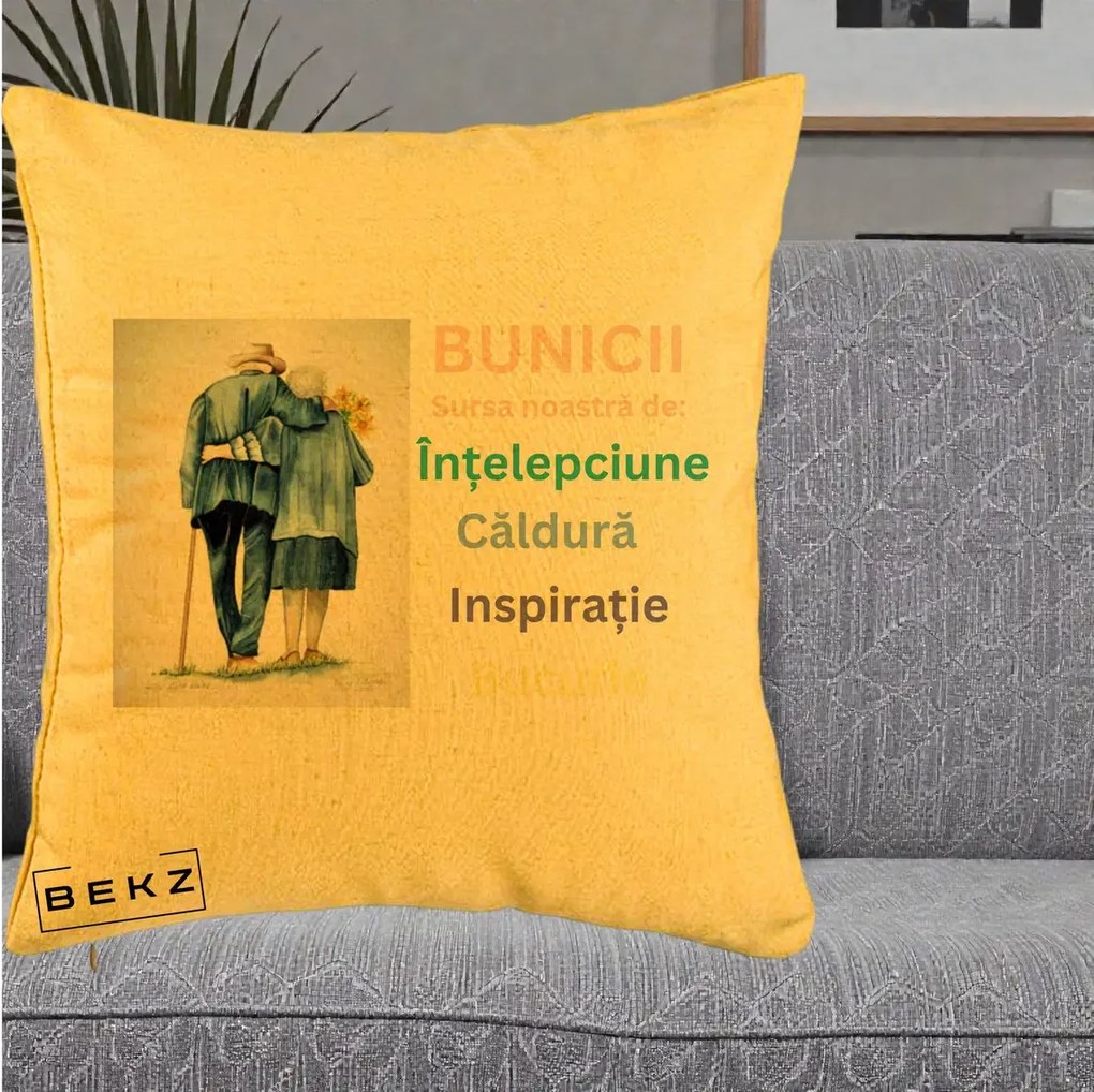 Cadou pentru Bunici - Perna Personalizata Bunicii Sursa Intelepciune Caldura Acuarela, 40x40 cm, Galben, Husa Detasabila, Perna Inclusa, BEKZ®