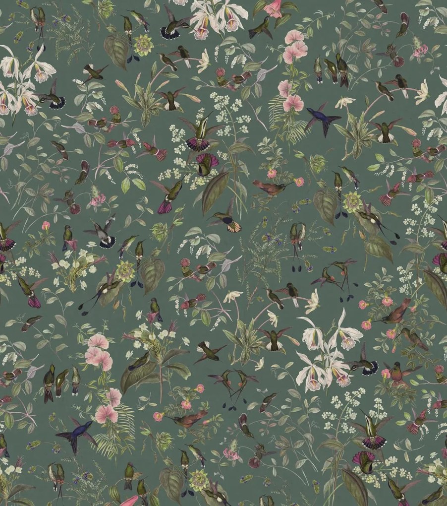Fototapet, Hummingbird, Lush, Rebel Walls