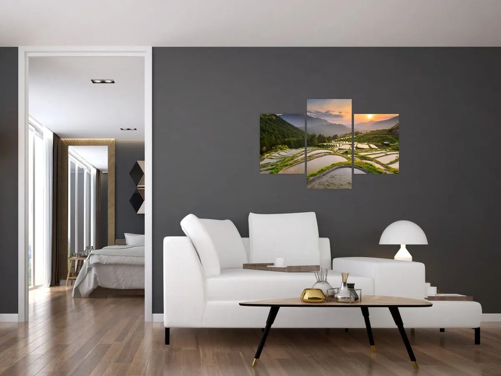 Tablou - Terase de orez (90x60 cm)