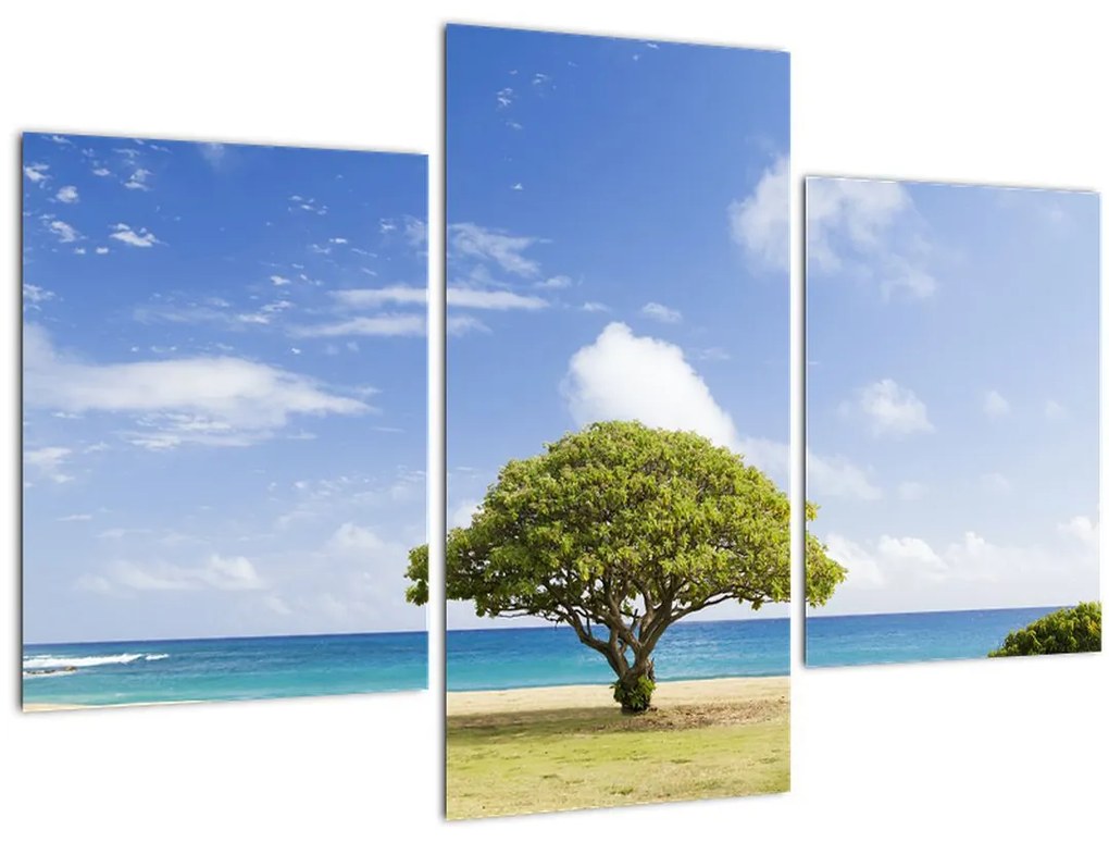 Tablou plaja cu copac (90x60 cm)