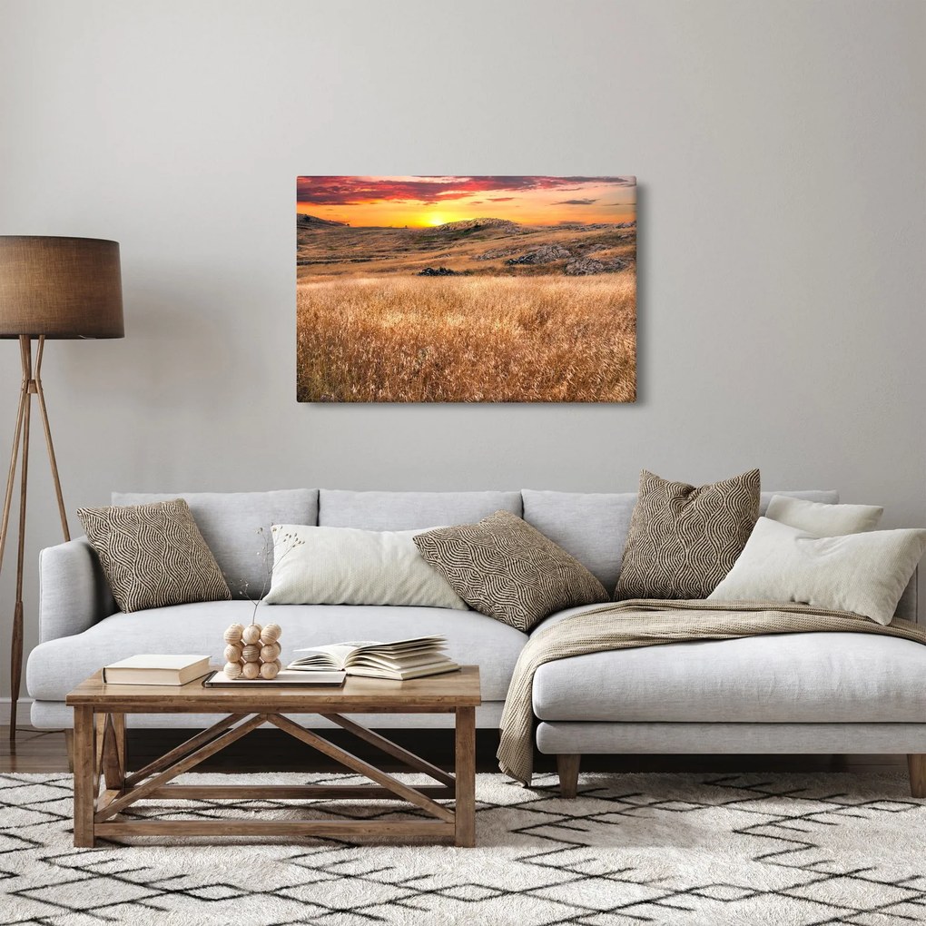 Tablou cu câmp (90x60 cm)