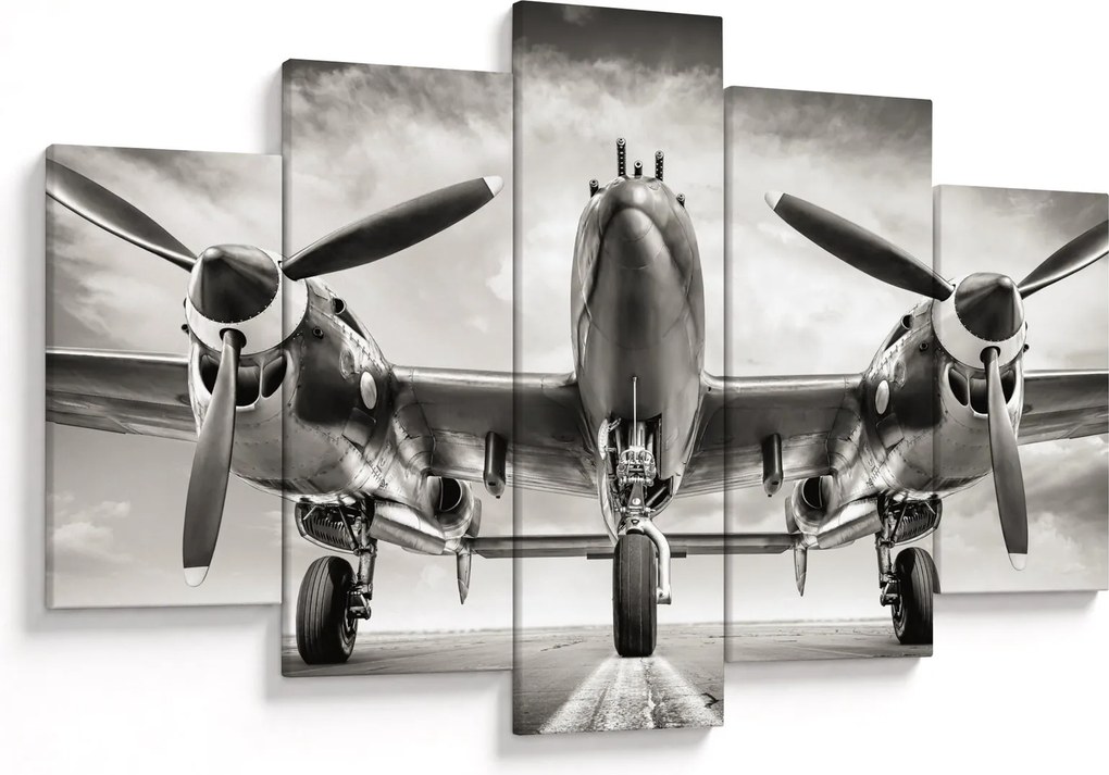 Tablou - Warbird (150x105 cm)