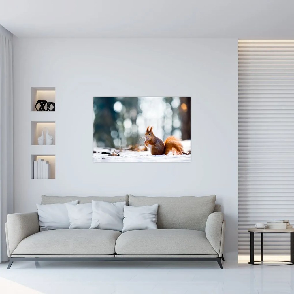 Tablou - Veveriță (90x60 cm)