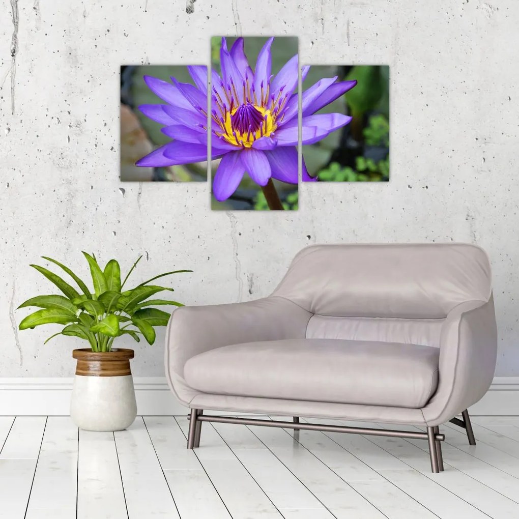 Tablou - Floare violet (90x60 cm)