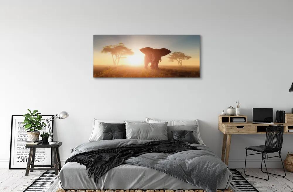 Tablouri canvas Elephant copac est