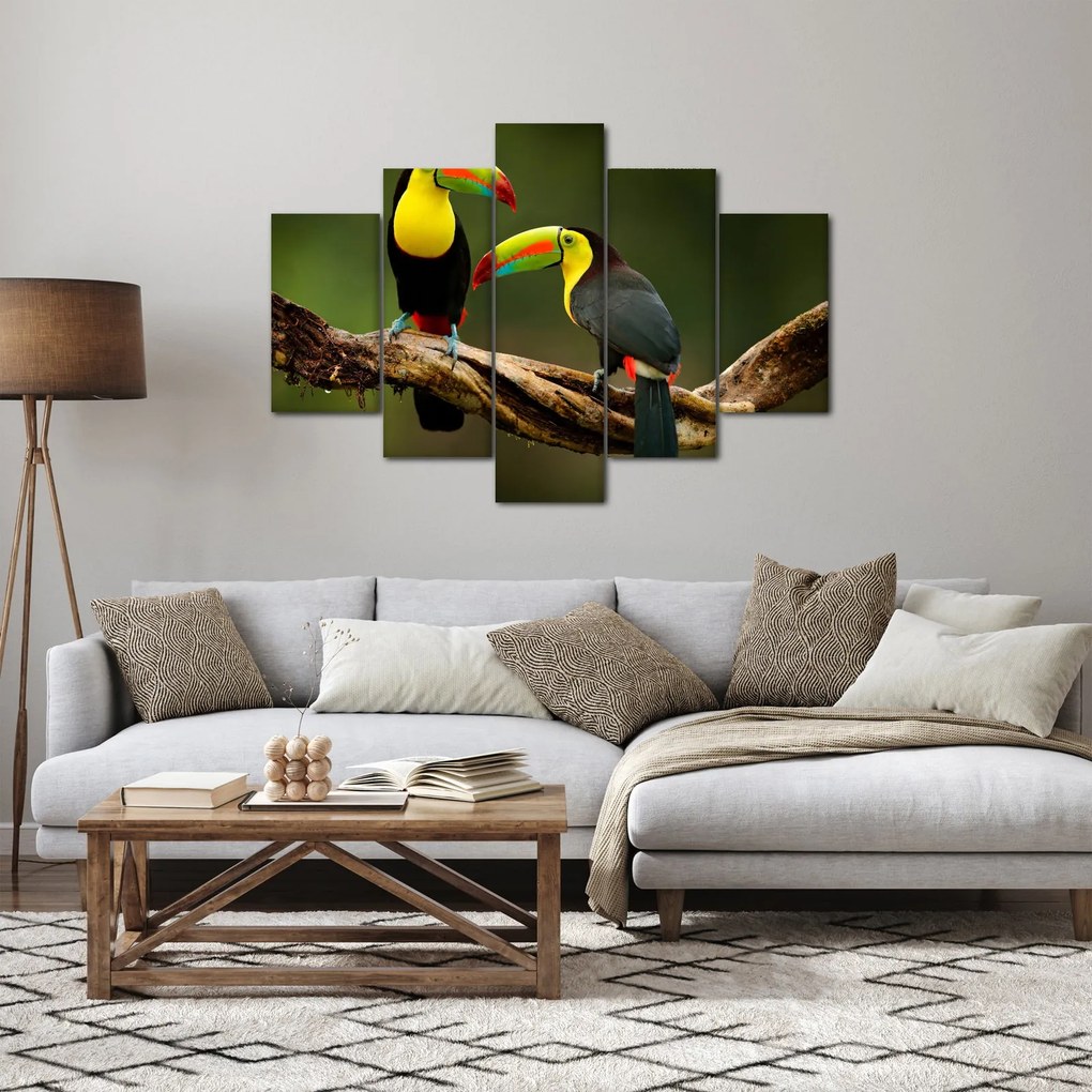 Tablou tucani sezând , Costa Rica (150x105 cm)