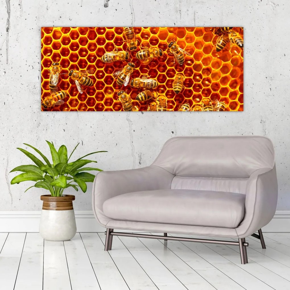 Tablou - Fagure de miere (120x50 cm)