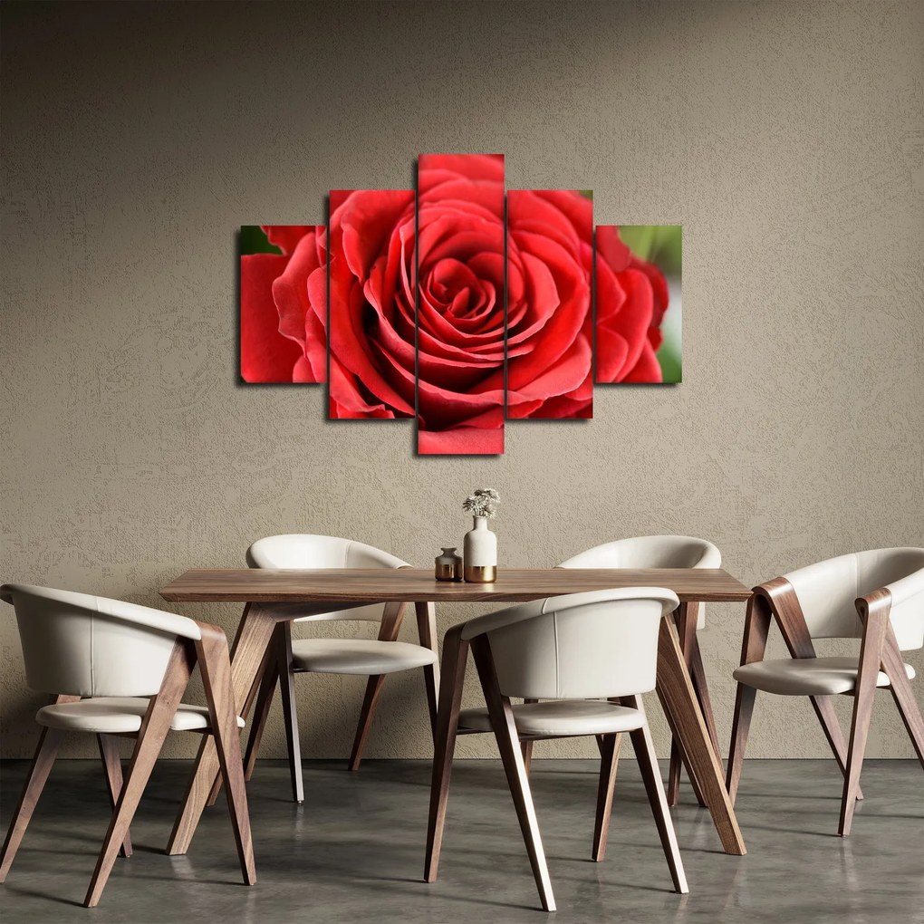Tablou - Flori de trandafir (150x105 cm)