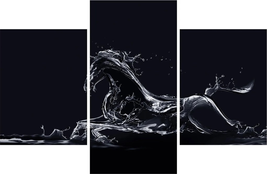 Tablou - Cal și apă (90x60 cm)