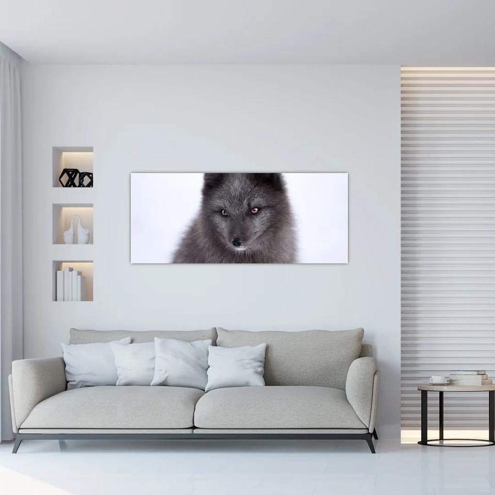 Tablou cu vulpe polară (120x50 cm), în 40 de alte dimensiuni noi