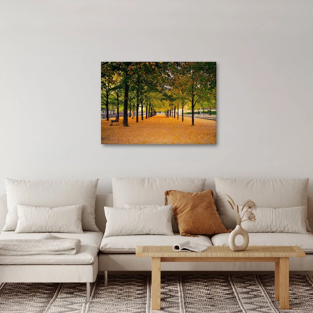 Tablou cu alee cu copaci în toamnă (70x50 cm)