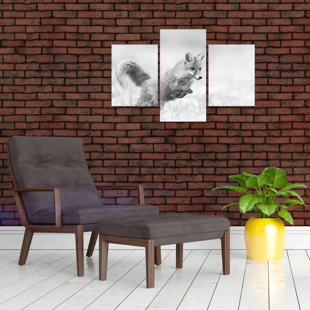 Tablou - Vulpe care sare,alb-negru (90x60 cm)