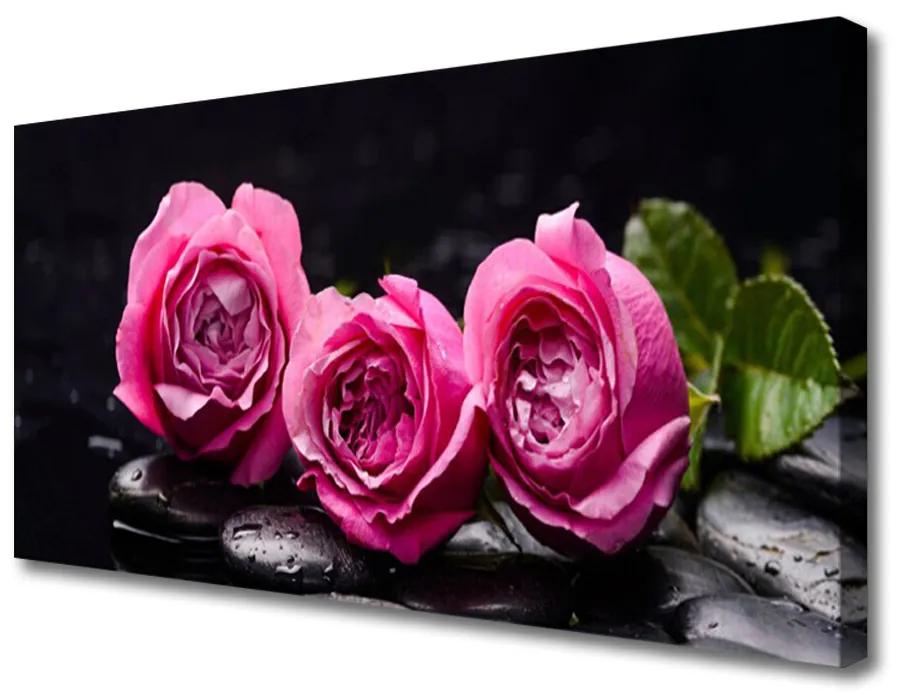 Tablou pe panza canvas Trandafiri pietre Floral Rosu Negru