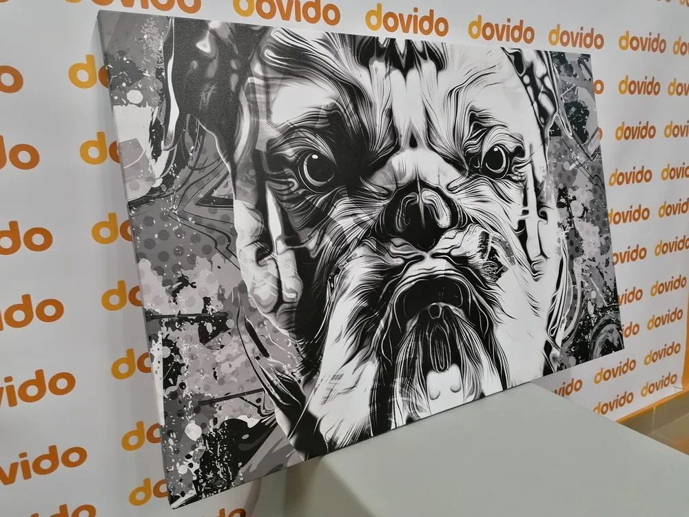 Tablou buldog în design alb-negru